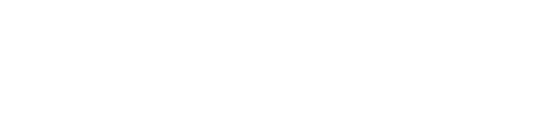 Y’s Inc.